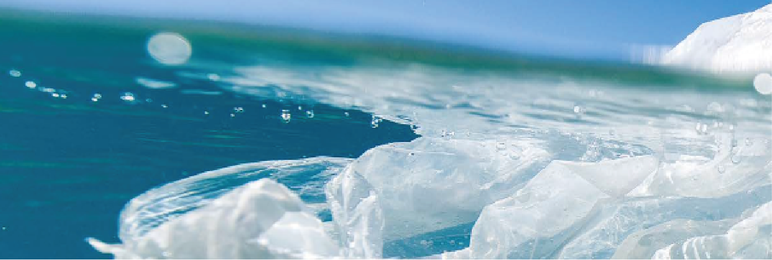 Marine Litter
