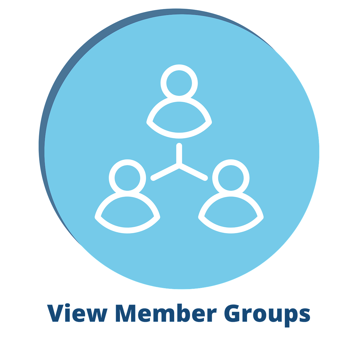 View Member Groupsg