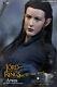 Asmus Toys 1/6 The Lord Of The Rings Elf Princess Arwen Action Figure Lotr021