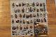 Lego Lord Of The Rings Hobbit Minifigures Lot (46 Minifigs) And Accessories