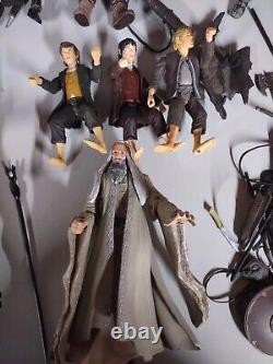 Lord of The Rings Figures Lot of 20 Figures Capes, Weapons, Accessories LOTR