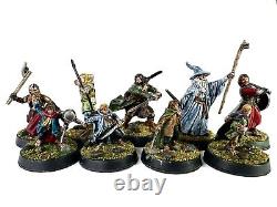 Pro Painted FELLOWSHIP OF THE RING (Lord of the Rings / LOTR) Games Workshop GW