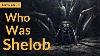 Shelob Lore Lord Of The Rings Lore