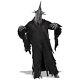 Witch King Costume Adult Lord Of The Rings Ring Wraith Nazgul Fancy Dress
